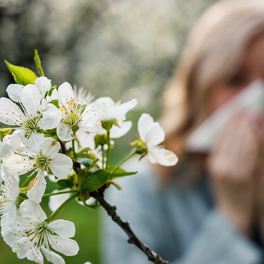 Woman sneezing into a tissue surrounded by tree blossoms