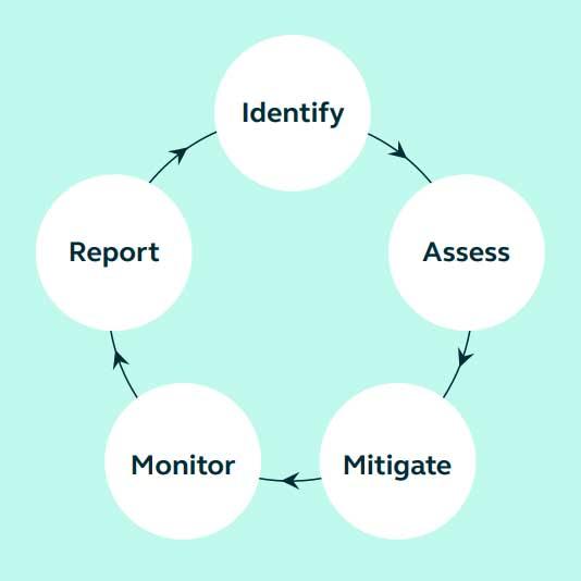 Flowchart showing steps in identifying, reporting, assessing, and monitoring process