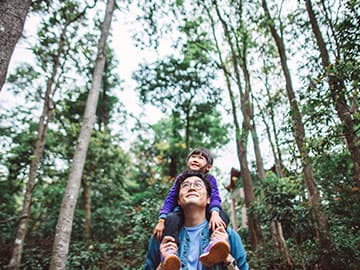 Father carrying son his shoulders, walking through forest