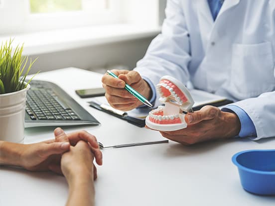 Dentist showing a dental model to a patient at a desk, with a plant and computer keyboard nearby.